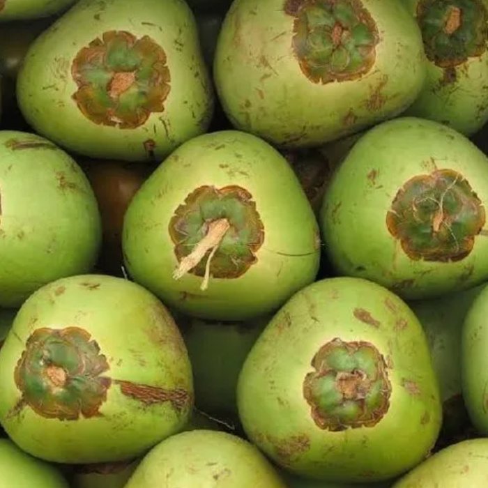 Tender Coconut